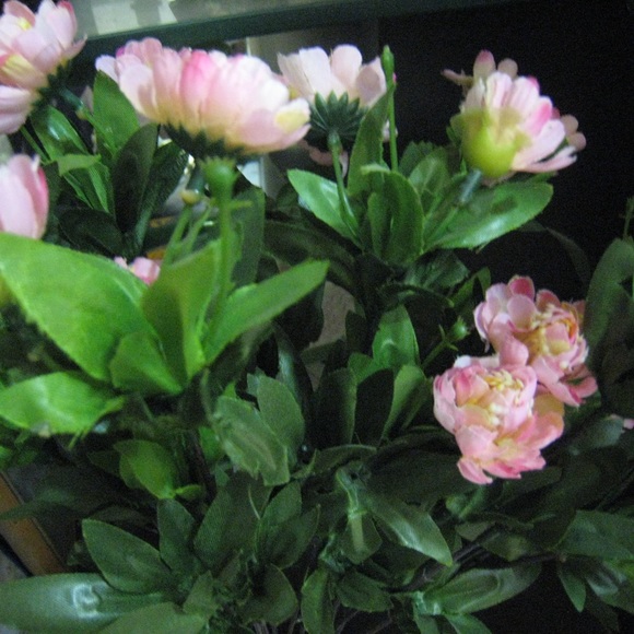 Canon IXY DIGITAL camera - Picture 12 of 14